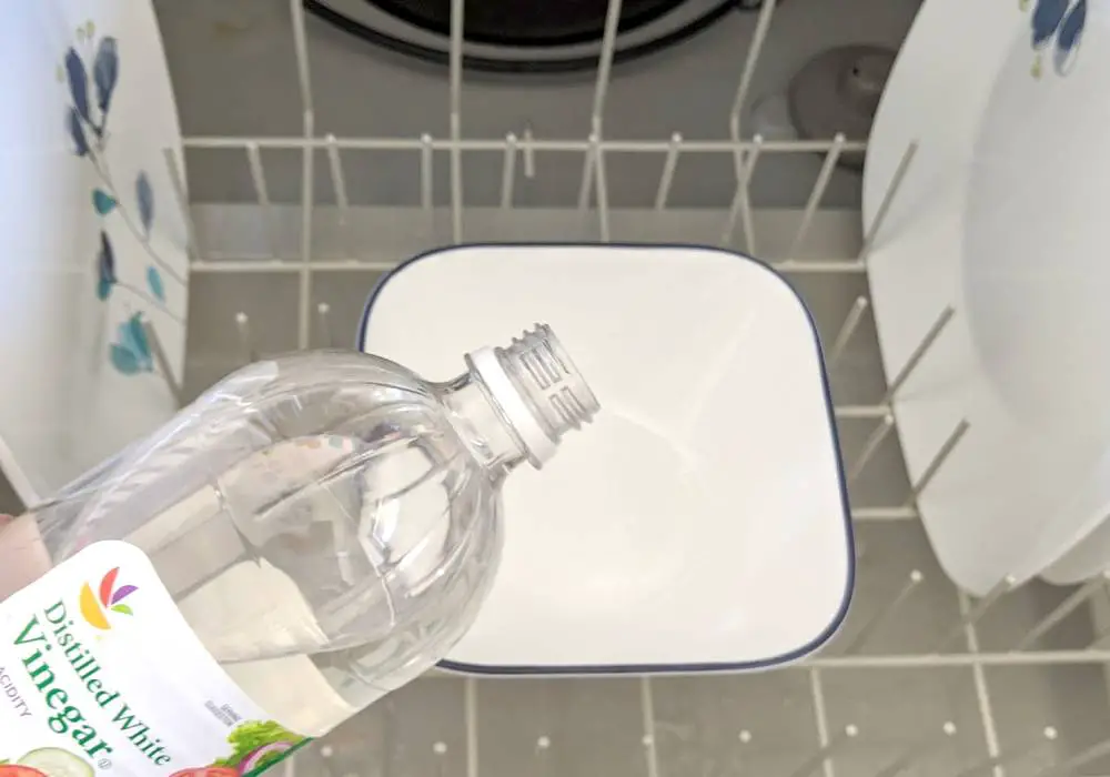Pouring vinegar in dishwasher