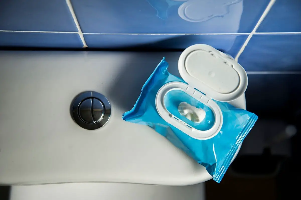 Are Flushable Wipes Really Flushable - You May Be Surprised