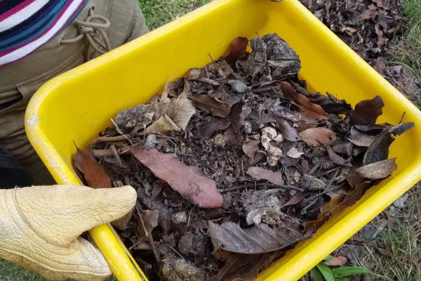burying bokashi vs adding bokashi to the compost bin