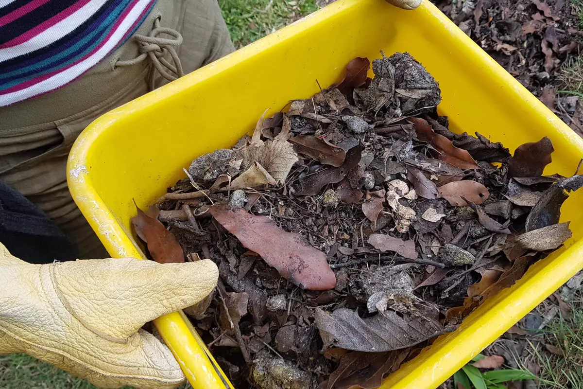 burying vs adding bokashi to compost bin