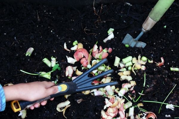 scattering leftover fruits and vegetables on soil