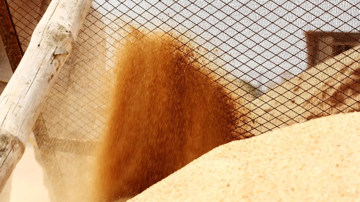 What Is Masonry Sand? (Everything You Need To Know About This All-Purpose Sand)
