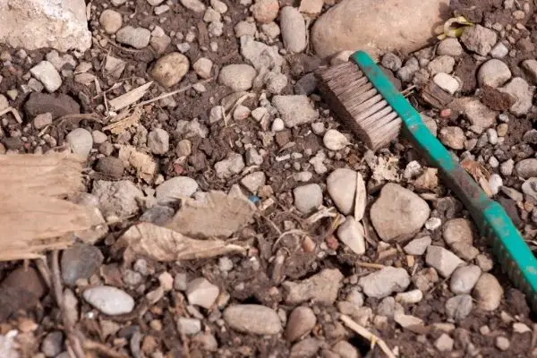 discarded plastic toothbrush with dirty nylon bristles
