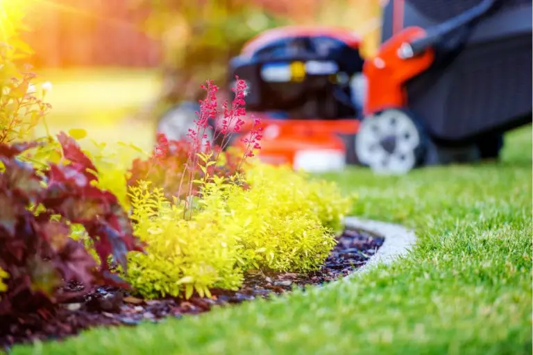 Eco-Friendly Alternatives To Grass Lawns: From Clover To Artificial Turf