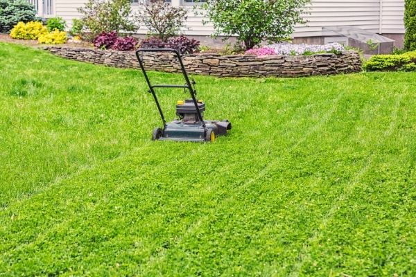 lawn equipment for grass maintenance
