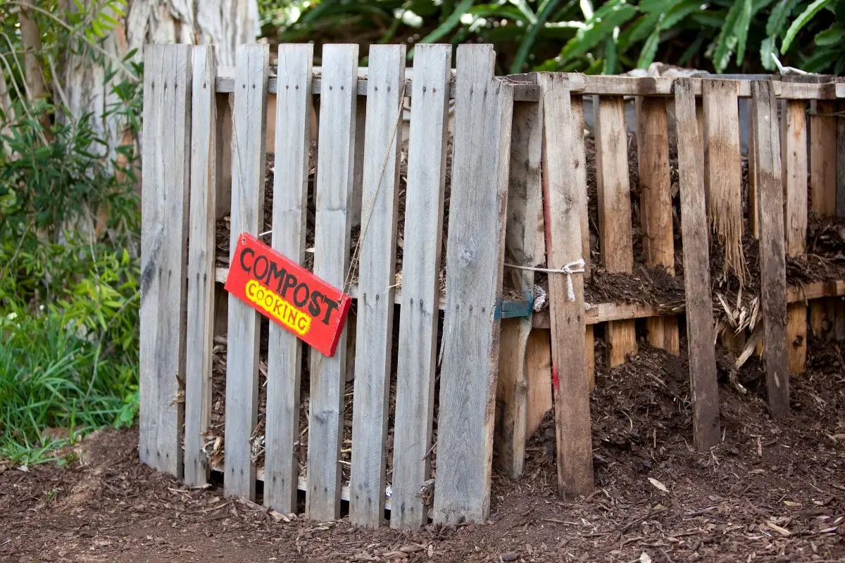 How To Hide A Compost Bin (with Style)