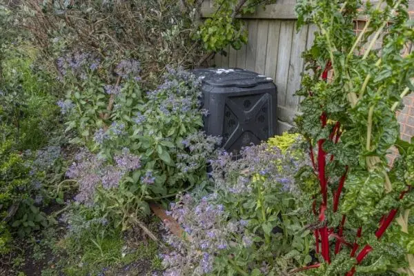 compost bin on plant bushes