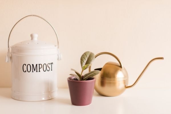 compost tea at home