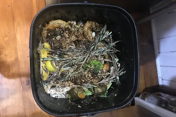 bokashi composting bucket with food scraps and bran