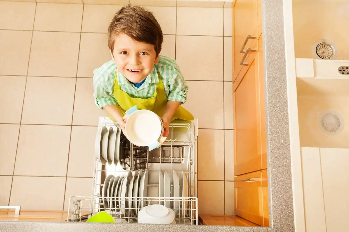 eco friendly dishwasher
