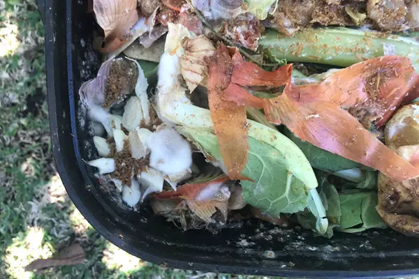 food scraps inside bokashi bin