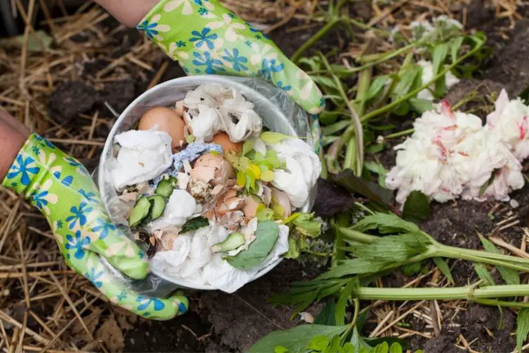 How Do I Start A Compost Bin? [And Make Great Compost]!