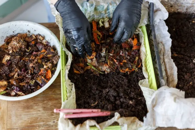 How to Worm Composting Guide for Beginners