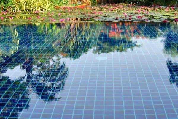 convert swimming pool to pond