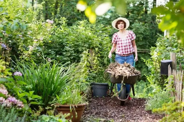 what to use compost for