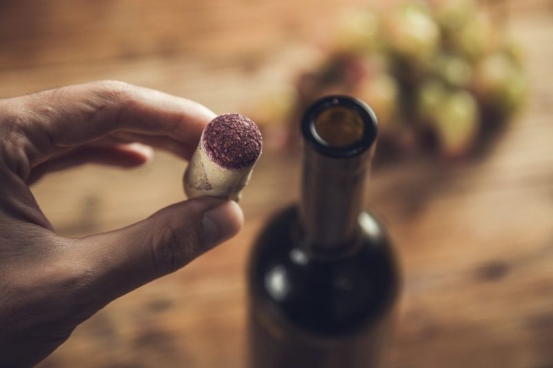 Are Corks Compostable? (It's more than just a wine stopper!)