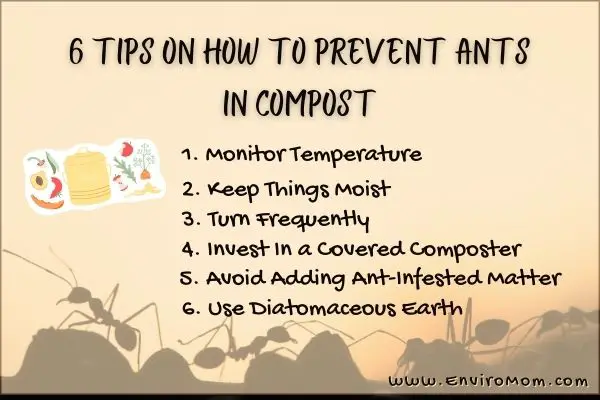 How To Prevent Ants In Compost – Infographic