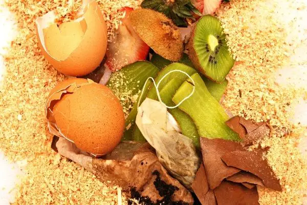 organic waste for composting