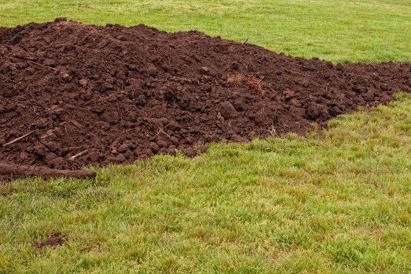 topsoil for grass