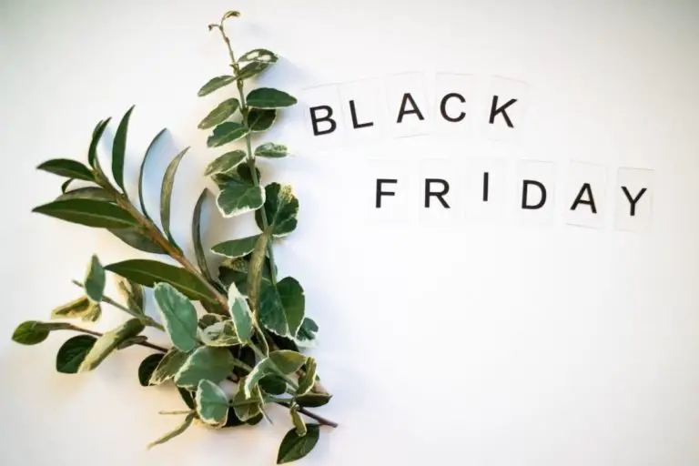 EarthHero Black Friday: 10 Eco-friendly Gifts for Kids