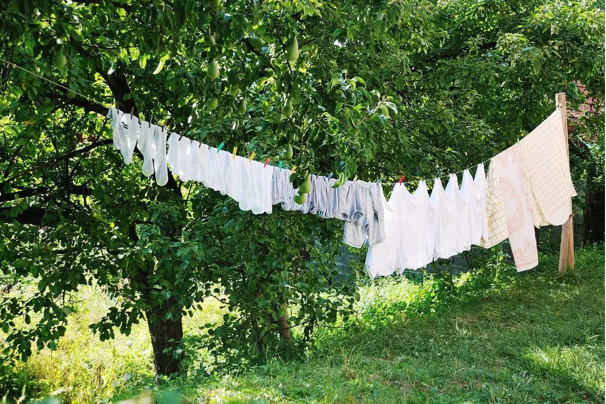 tru earth eco friendly laundry sheets
