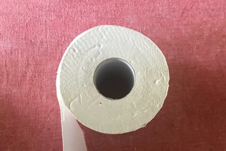 Reel Toilet Paper Review | Eco-friendly bamboo TP