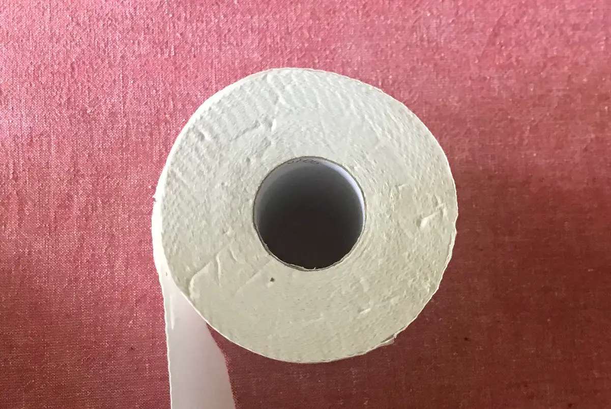 reel toilet paper review - bamboo TP