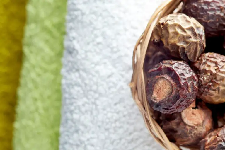 What are Soapberries (soap nuts)? Eco-friendly laundry options