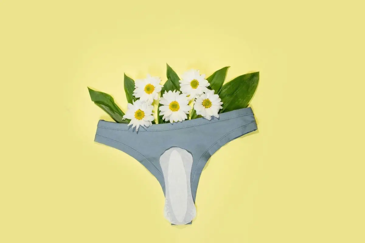 Are Period Underwear Eco Friendly