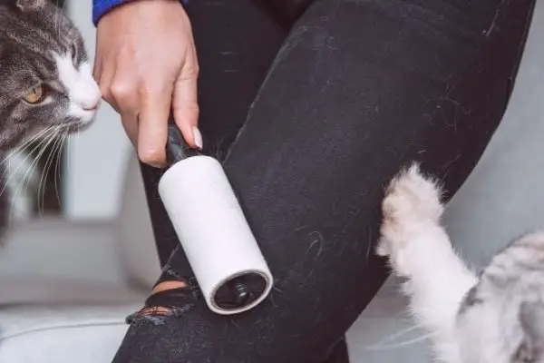 Using A Classic Lint Roller To Get Hair Out Of Clothes