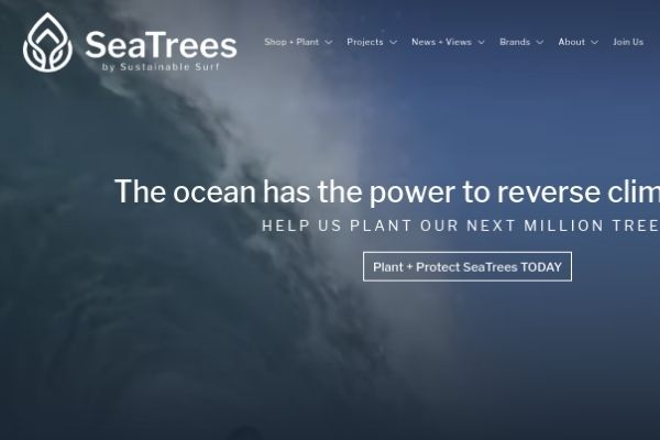Sea Trees Homepage