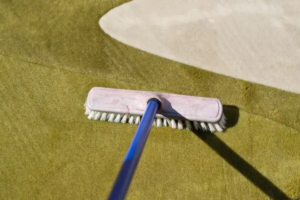 Sweeping Green Carpet With A Brush