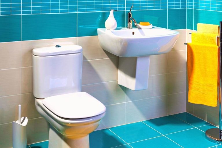 Can You Flush The Toilet When The Power Is Out