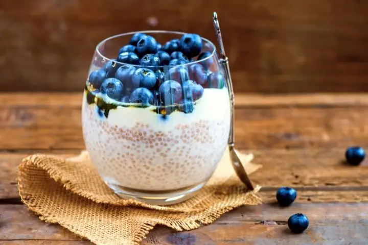 Chia Pudding With Blueberries