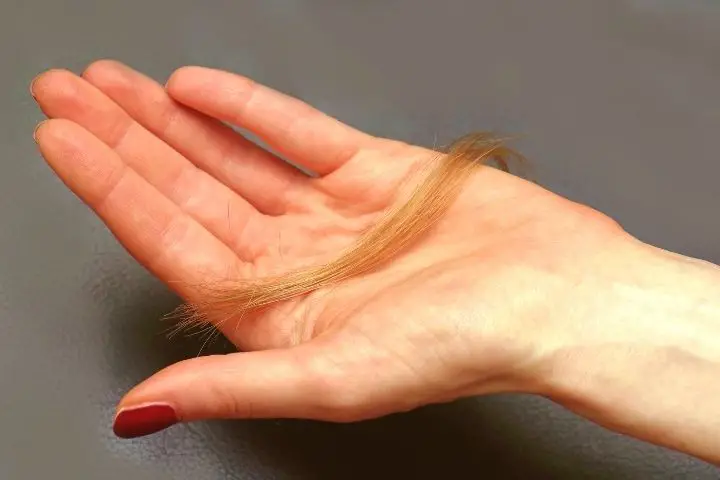 Hair On Womans Hand