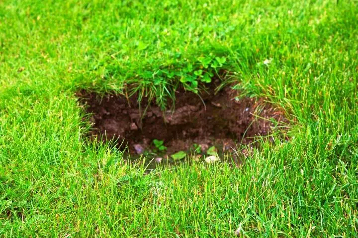 Hole In A Lawn