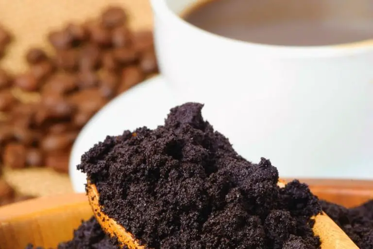 How to Dispose of Coffee Grounds (5 Greenest Ways)