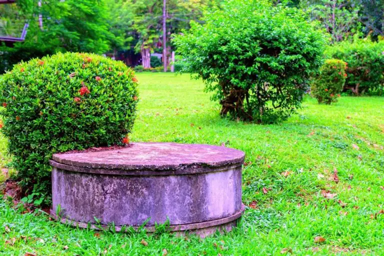 How to Find Your Septic Tank: Use These 4 Simple Methods!
