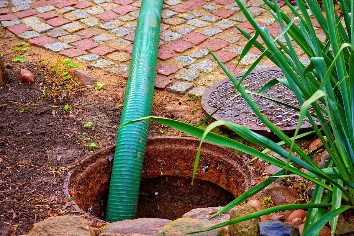 How To Tell If Septic Tank Is Full