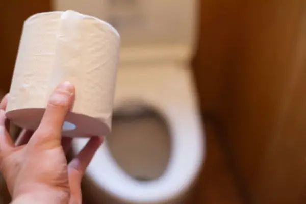 Person Holding A Toilet Paper