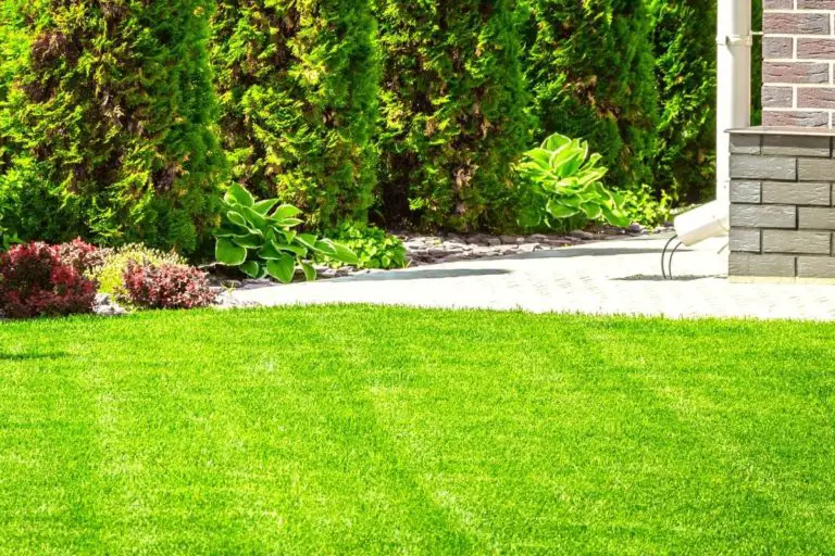 What Type of Sand To Level a Lawn (+ How To Do It!)