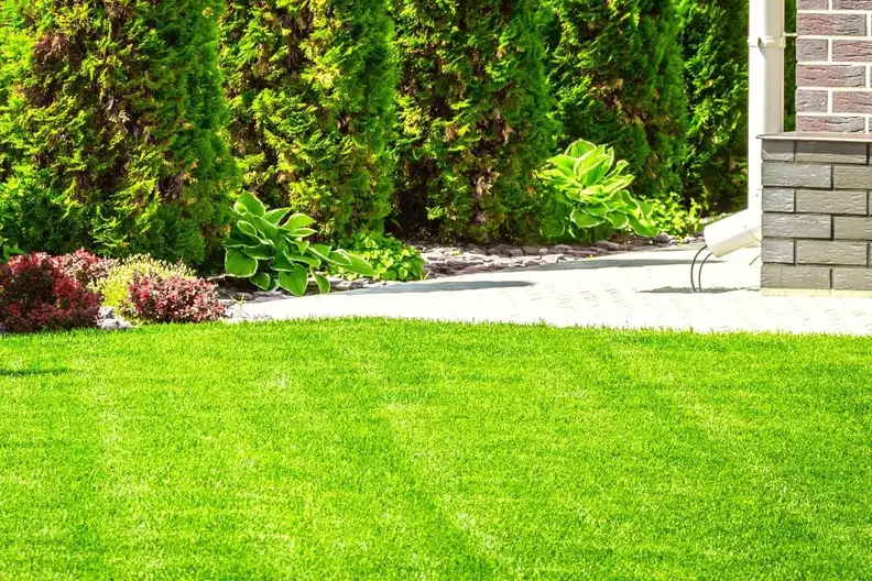 What Type of Sand To Level a Lawn (+ How To Do It!) - EnviroMom