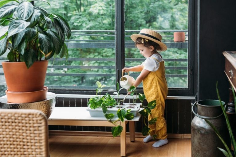 Fast Growing Indoor Plants