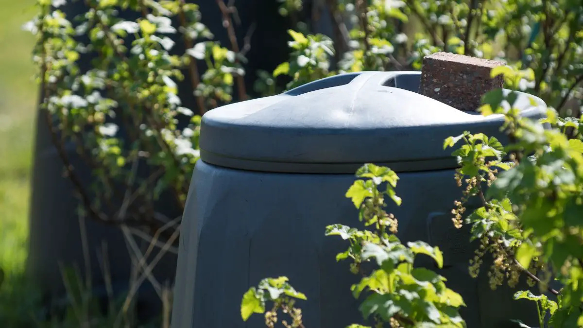 Where To Place Compost Bin Sun Or Shade