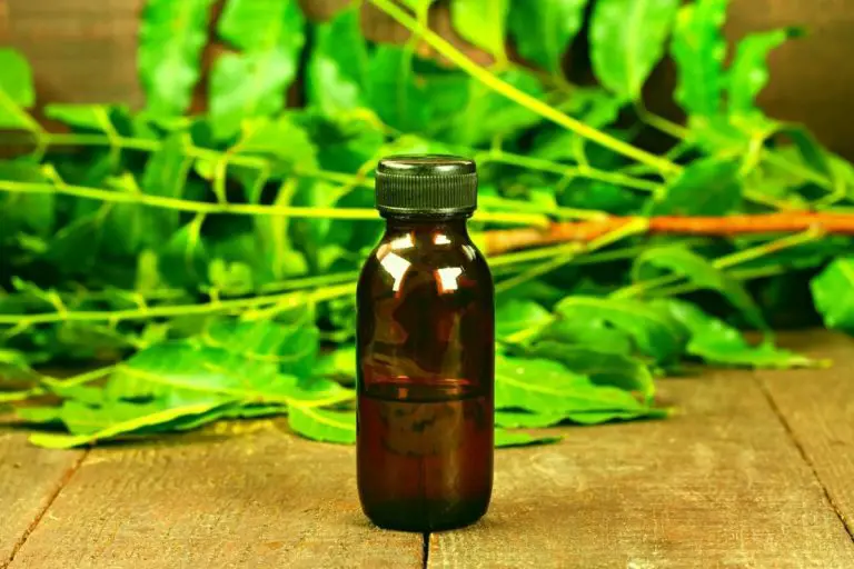 Can Neem Oil Burn Plants | + How to safely apply it