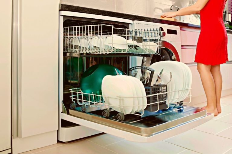 Dishwasher Smells Like Sewage