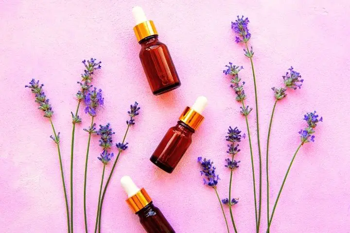 Lavender Oil And Lavender On A Purple Background
