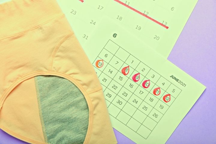 Period Underwear With Period Calendar