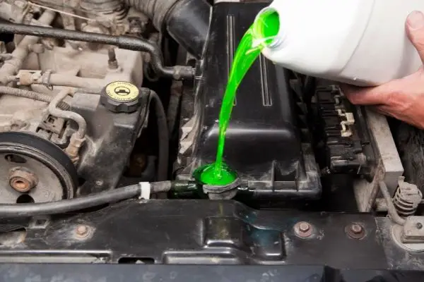Person Pouring Antifreeze In Car Radiator