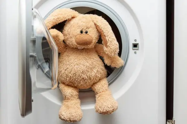 Stuffed Animal Getting Out Of Dryer Machine